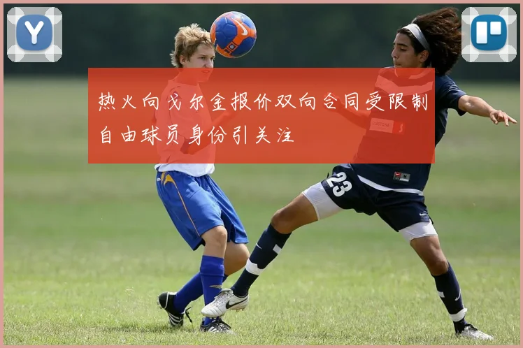 热火向戈尔金报价双向合同受限制自由球员身份引关注