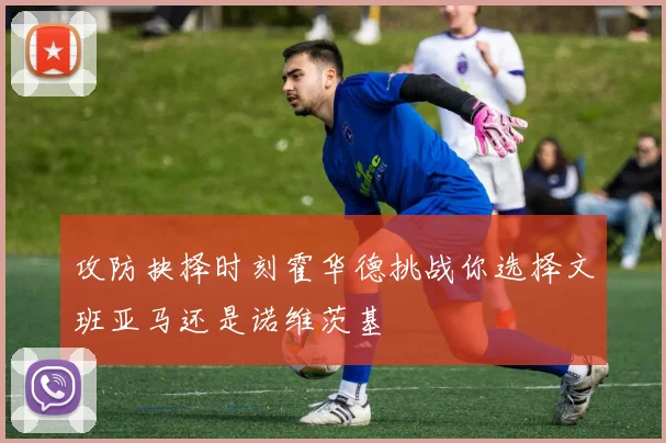 攻防抉择时刻霍华德挑战你选择文班亚马还是诺维茨基