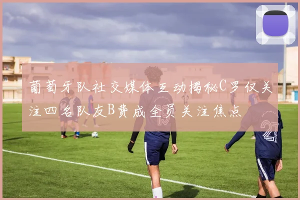 葡萄牙队社交媒体互动揭秘C罗仅关注四名队友B费成全员关注焦点